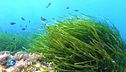 Ocean and Climate Village: la mostra interattiva a Napoli