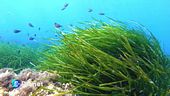 Ocean and Climate Village: la mostra interattiva a Napoli