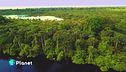 Proteggere l'Amazzonia, patrimonio verde inestimabile