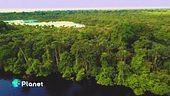 Proteggere l'Amazzonia, patrimonio verde inestimabile