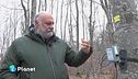 La voce degli alberi: un progetto per seguire la vita di una pianta