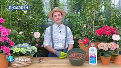 E-Garden - Le acidofile