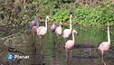 Preservare la biodiversità