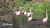 Preservare la biodiversità