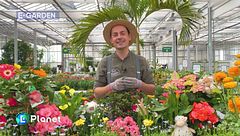 I fiori perfetti per la Pasqua