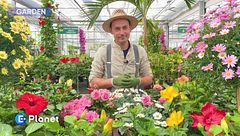 E-Garden: consigli per la festa della mamma