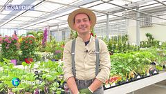 E-Garden: l'orto in cassetta