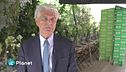 Italia leader nel riciclo del vetro
