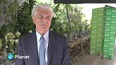 Italia leader nel riciclo del vetro