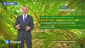 E-Clima: Foreste e clima
