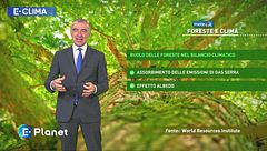 E-Clima: Foreste e clima