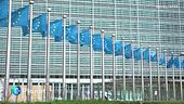 Deforestazione, l'Europa si muove