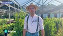 E-Garden: il Mesembriantemo