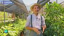 E-Garden: i fiori del passato