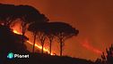 Quanto costa il caldo record
