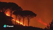 Quanto costa il caldo record