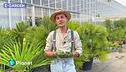 E-Garden: il giardino esotico