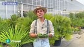 E-Garden: il giardino esotico