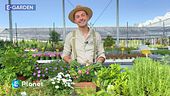 Giardinaggio di settembre