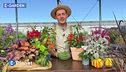 E-Garden Consigli per un balcone autunnale