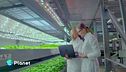Vertical farm sotterranea