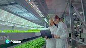 Vertical farm sotterranea