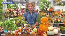 Decorazioni per Halloween