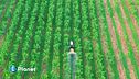 Agricoltura meno chimica