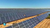 Un futuro al sole