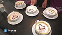 Cacao e succo Il dolce "amaro"