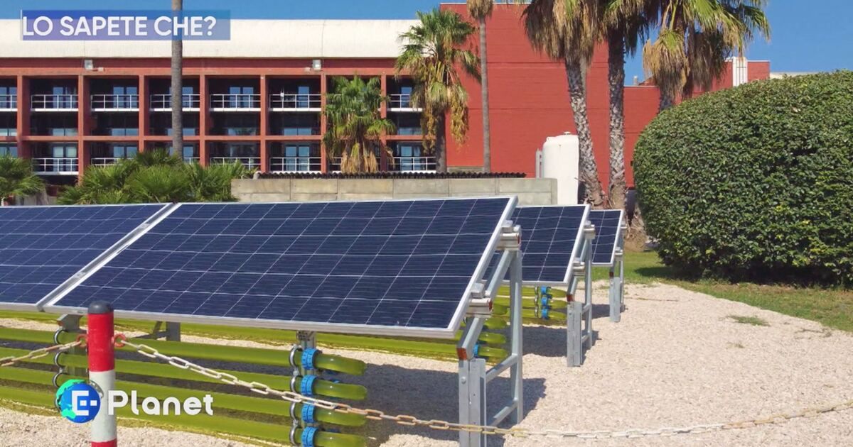 E-Planet: Lo sapete che? Video | Mediaset Infinity