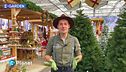 E-Garden: addobbi di Natale