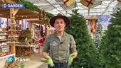 E-Garden: addobbi di Natale