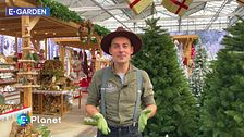 E-Garden: addobbi di Natale