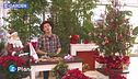 E-Garden: l'albero di Natale