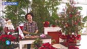 E-Garden: l'albero di Natale