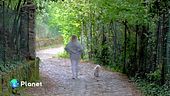 La via delle sorelle
