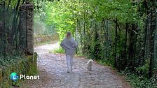 La via delle sorelle