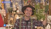 La rosa di Natale e il vischio