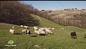 Puntata del 7 maggio