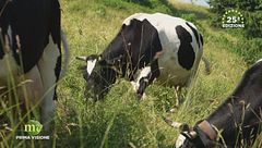 Puntata del 24 settembre