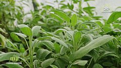 Puntata del 22 ottobre