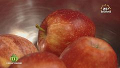 Puntata del 19 novembre