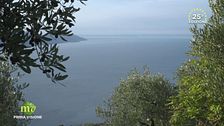 Puntata del 26 novembre