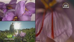 Puntata del 3 dicembre