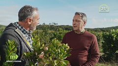 Puntata del 3 dicembre