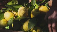 Puntata dell'1 gennaio