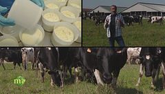 Puntata del 29 gennaio