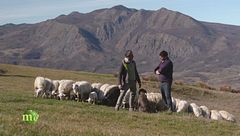 Puntata del 5 febbraio