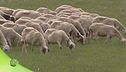 Puntata del 16 aprile  - Parte prima